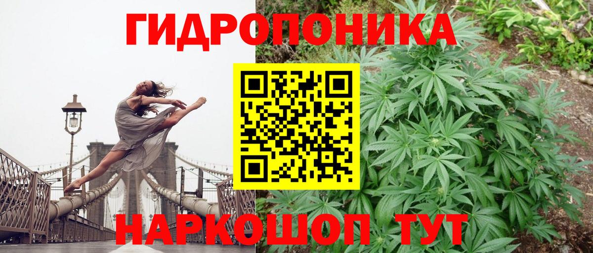 Бошки марихуана Ganja Белая Калитва